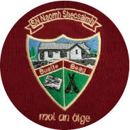 Buaile Beag National School
